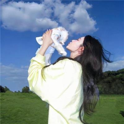 老虎和兔子第二季